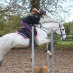 Travailler en confiance avec son poney ou son cheval est essentiel