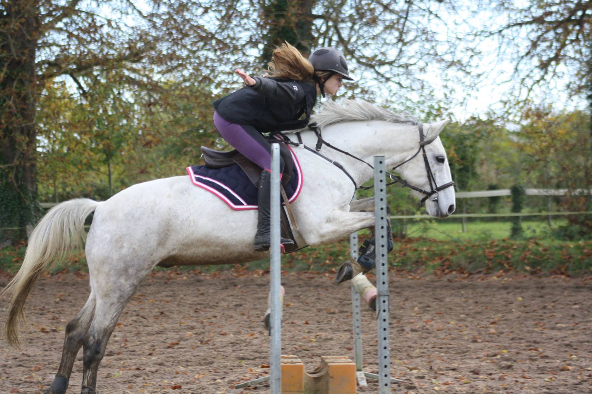 Travailler en confiance avec son poney ou son cheval est essentiel