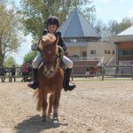 En concours avec mon poney Shetland