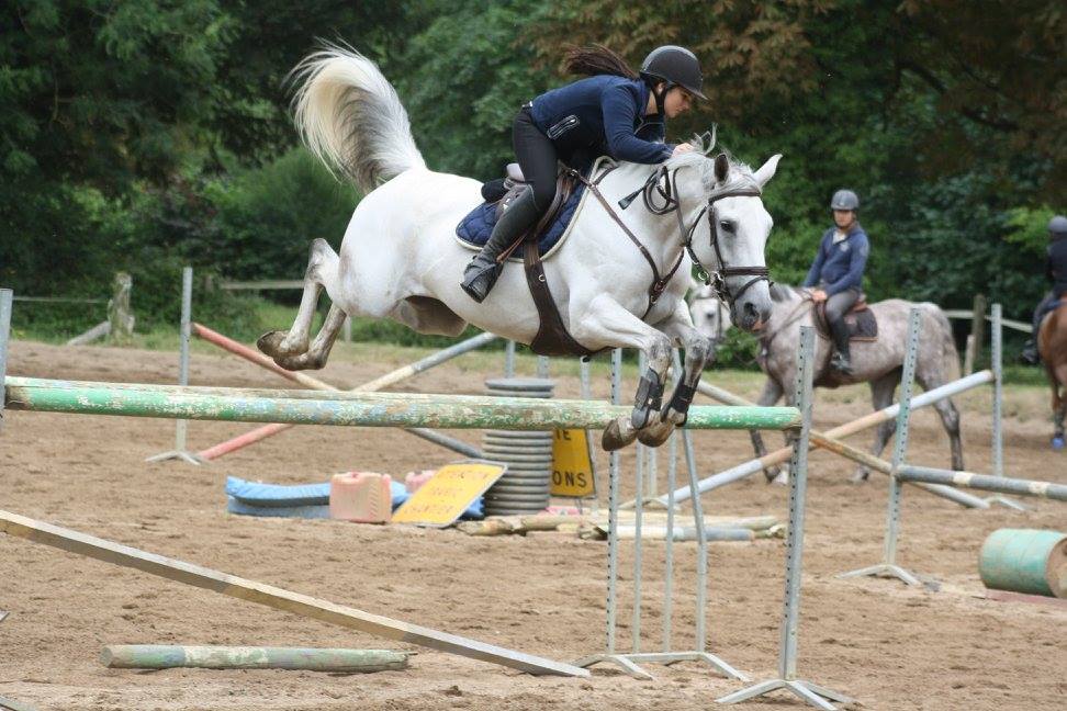 Saut d'obstacles à l'écurie du Val Loyer