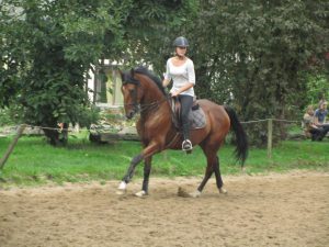 Séance de dressage à l'écurie du Val Loyer