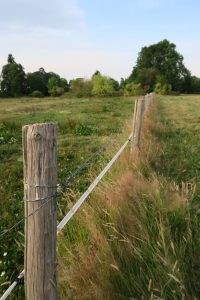 champ-barrière-nature