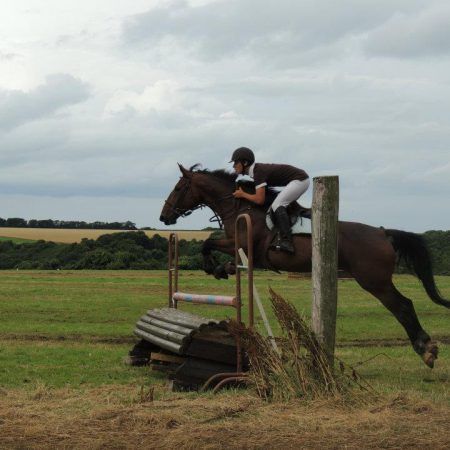 L’art du cross