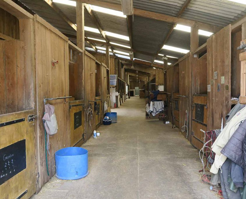 Ecurie du Val Loyer, l'allée des boxes