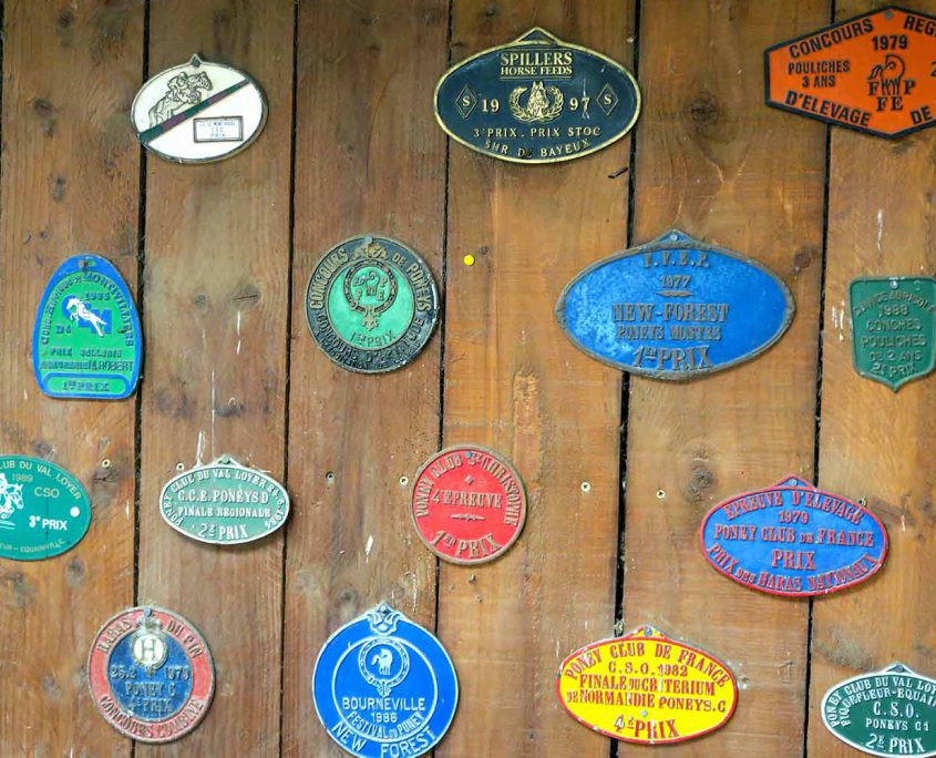 plaques-et-flots-gagnés-du-temps-du-poney-club