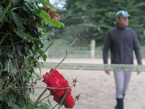 Pour bien monter les reprise de dressage sont essentielles