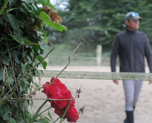 Pour bien monter les reprise de dressage sont essentielles