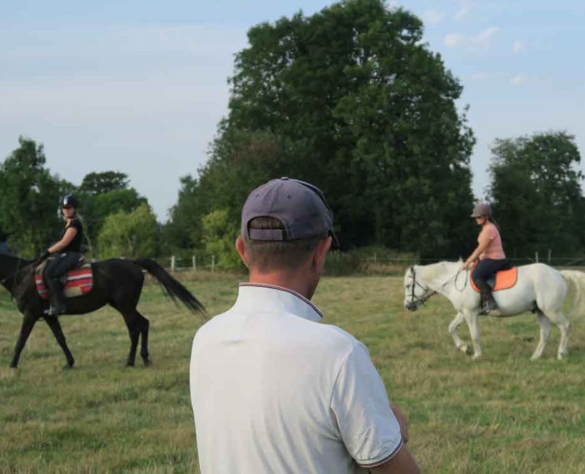 Renaud en reprise de dressage au pré : un travil d'équipe