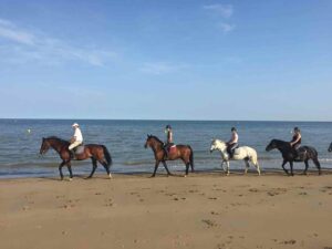 Une aventure salée : l'équitation à la plage