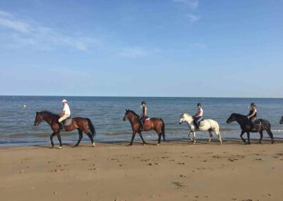 Une aventure salée : l'équitation à la plage