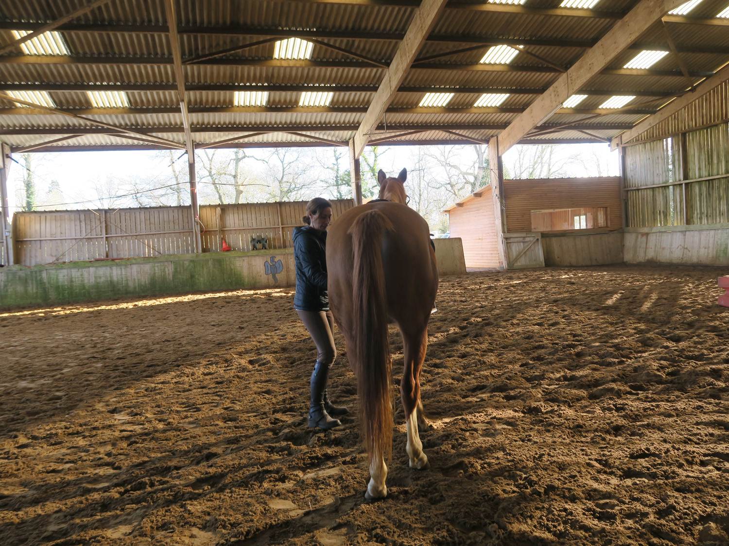 Écurie du Val Loyer, club d'équitation entre Pont-Audemer et Beuzeville : les infrastructures -  La carrière