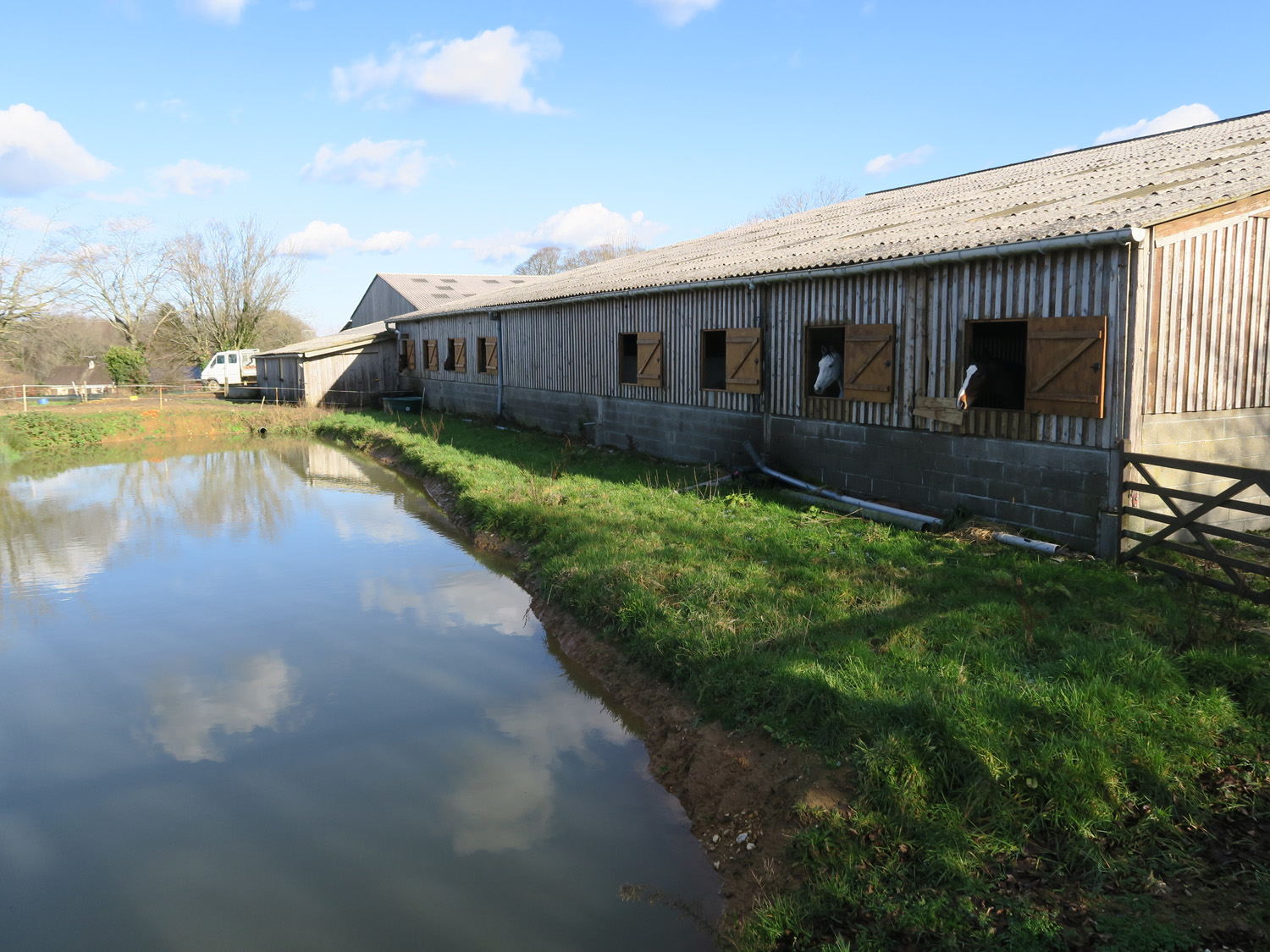 Ecurie des chevaux avec vue sur piscine