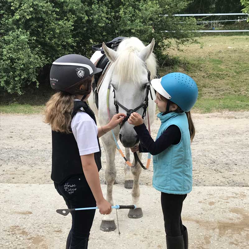babies Baby poney