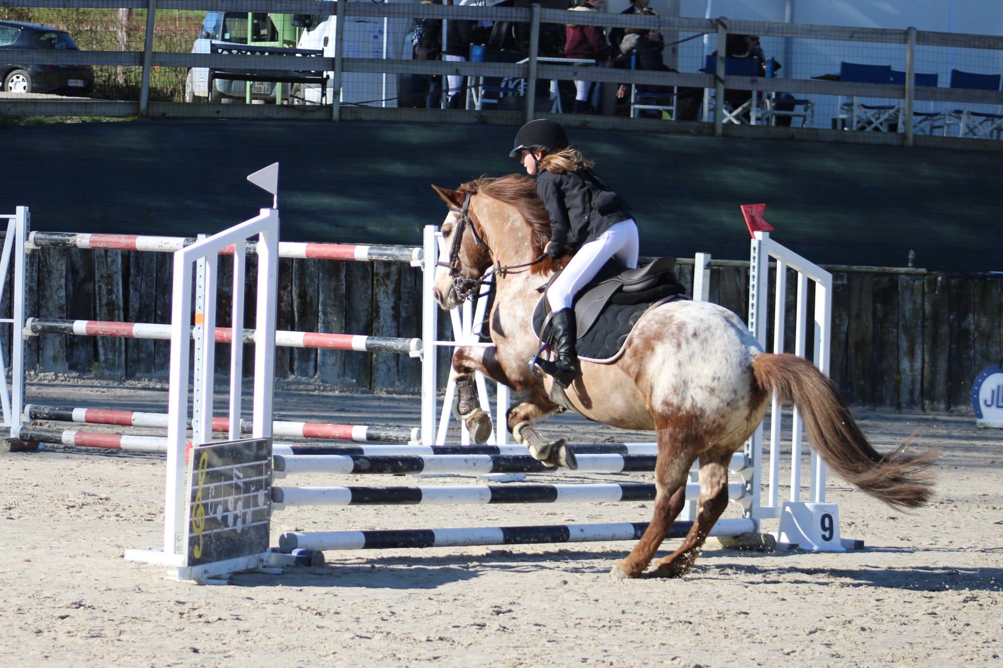 Les concours : le CSO avec le Val Loyer