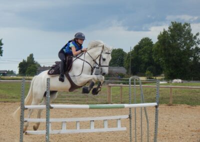 Le saut d'obstacles